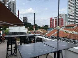 Bukit Pasoh Conservation Area (D2), Shop House #520543481